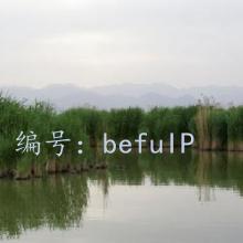 ĺ֮